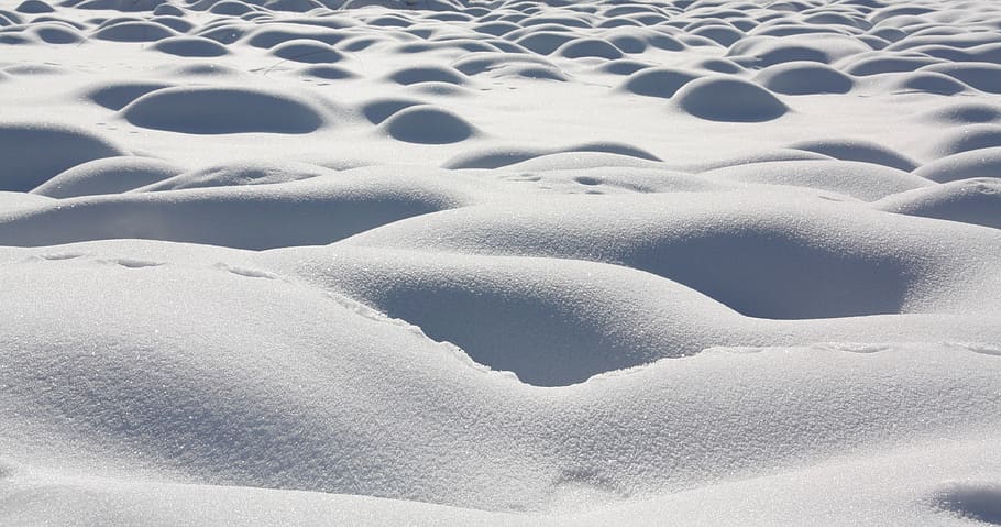 winter, cold, snow, ice, frozen, nature, frost, background HD wallpaper