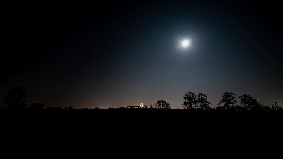moon and trees, nature, outdoors, night, space, outer space, universe HD wallpaper
