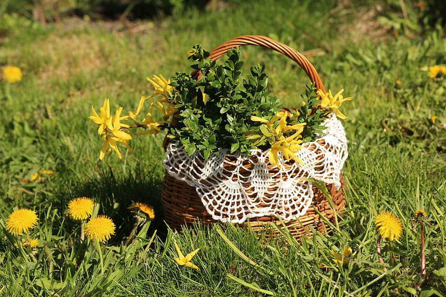 easter basket, spring, custom, decoration, the tradition of HD wallpaper
