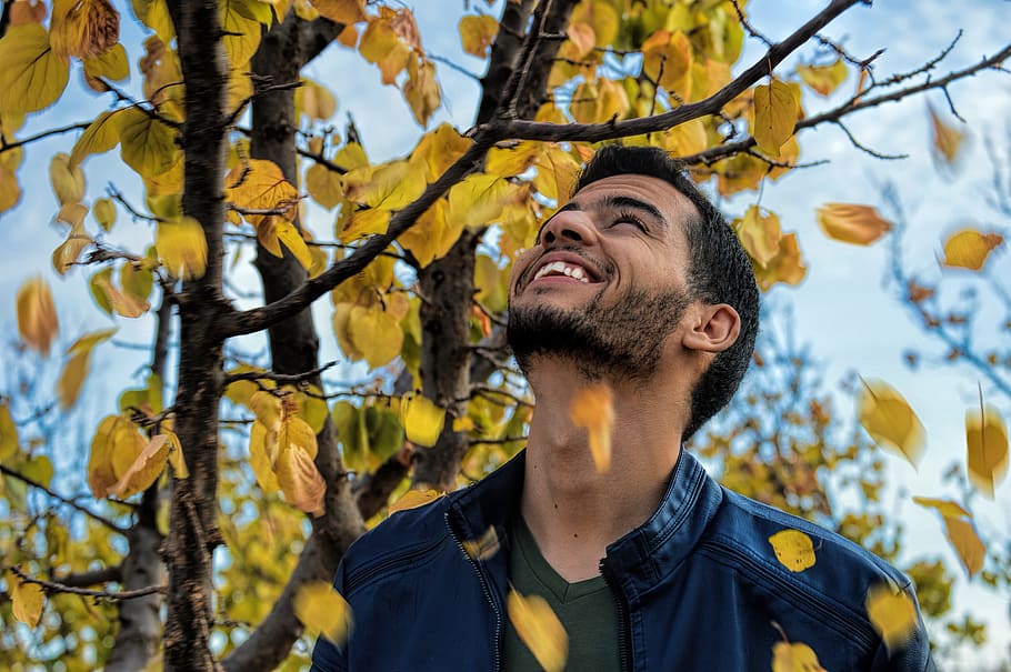 Man With Blue Denim Zip-up Jacket Near Yellow Leaf Tree, close -up HD wallpaper