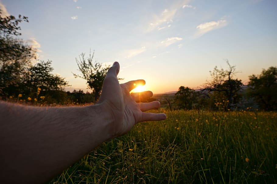 germany, boll, hand, sun, sunlight, unsplash, tree, photography HD wallpaper