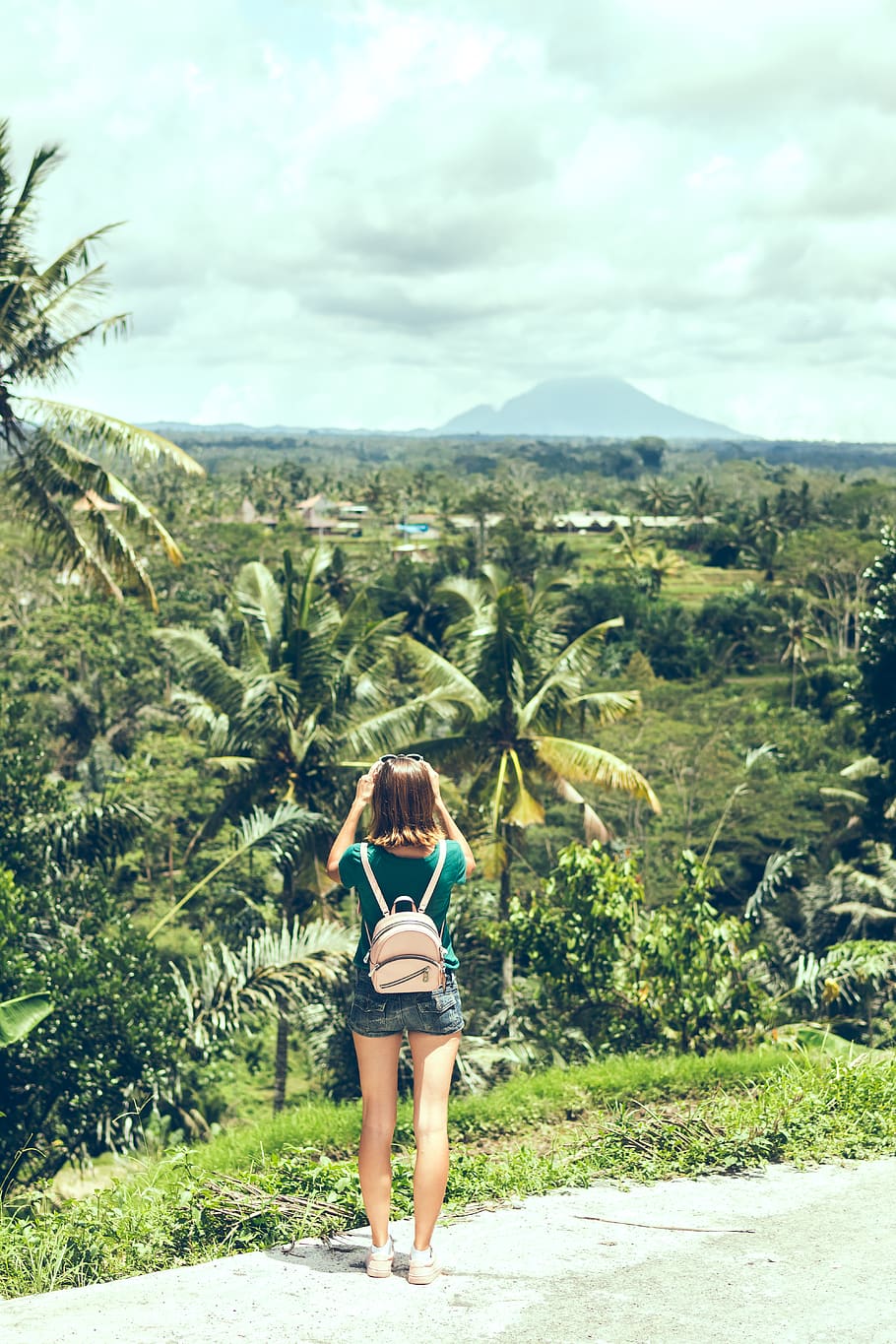 Person in Green Shirt Taking Photos of Nature, backpack, daylight HD wallpaper