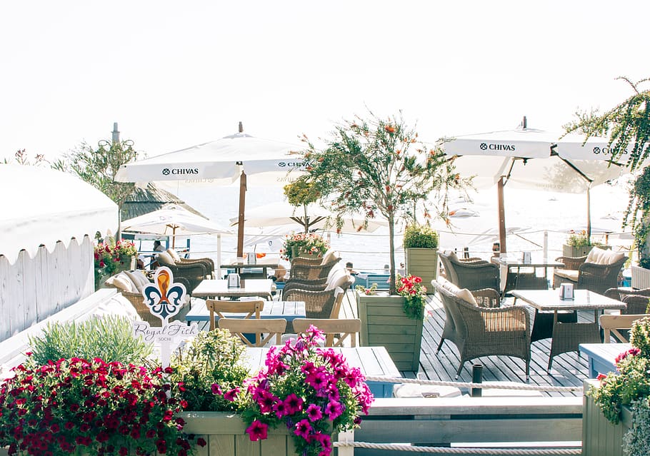 Red and Pink Petaled Flowers and Patio Set, architecture, beach HD wallpaper