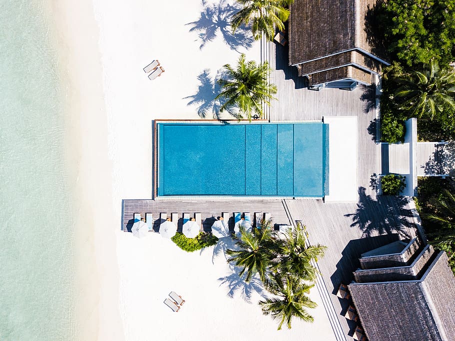 rectangular white swimming pool during daytime, water, tree, plant HD wallpaper