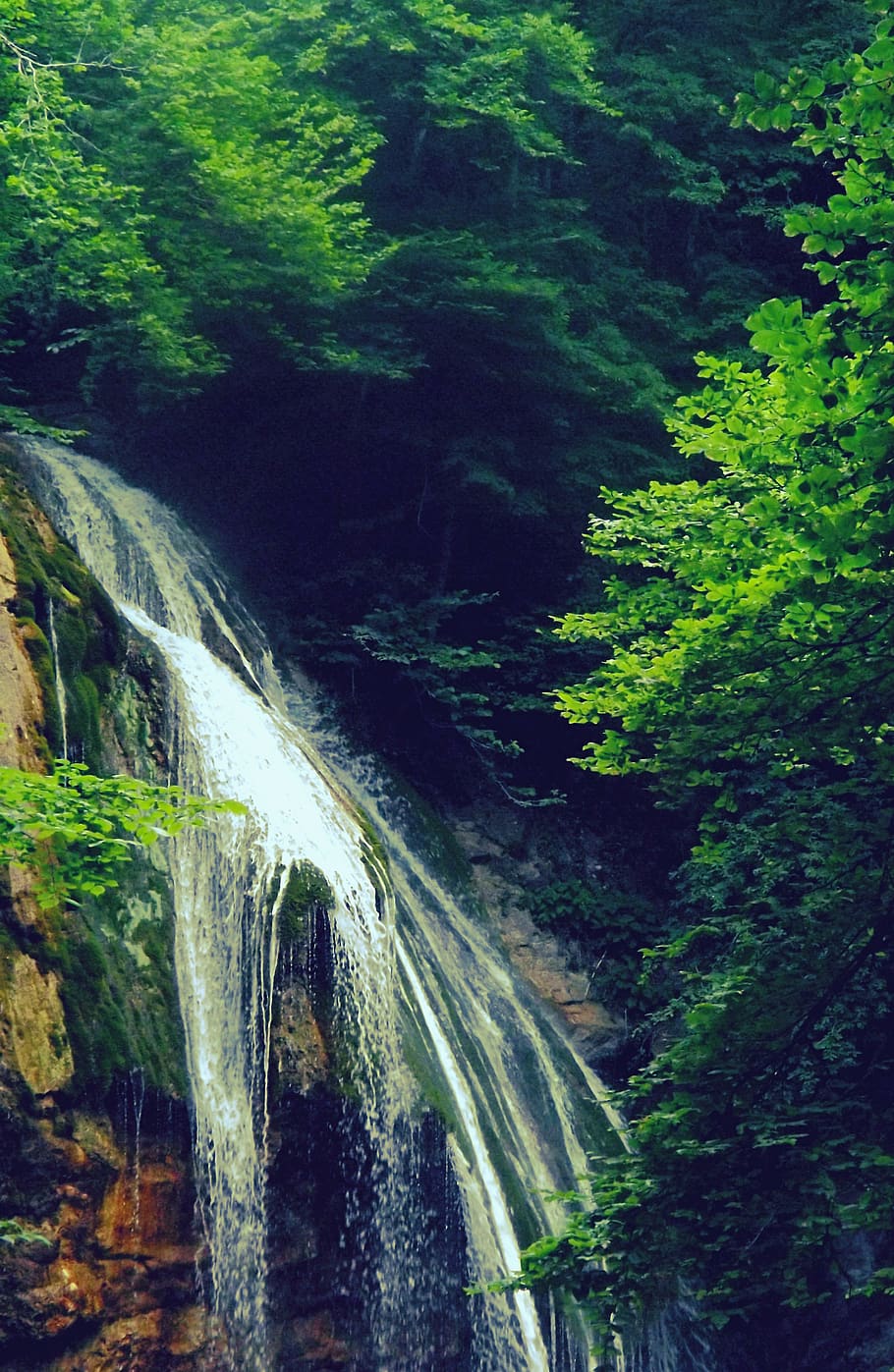 Waterfalls Beside Trees, cascade, daylight, environment, flow HD wallpaper