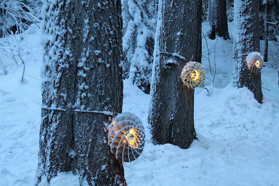 light, suspended, snow, cold, frost, tree, frozen, decoration HD wallpaper