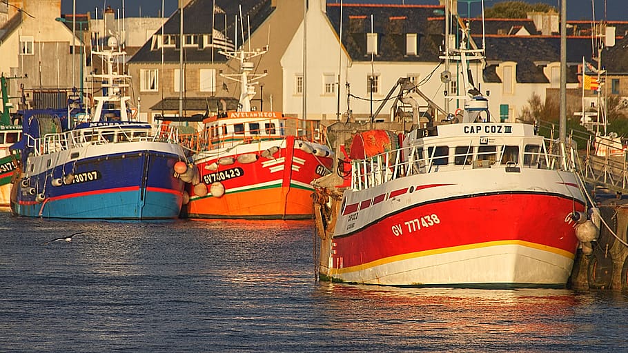 france, guilvinec, 29730 quai d'estienne d'orves, harbor, boat, HD wallpaper