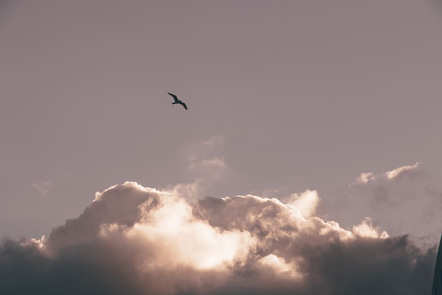 sky, clouds, dom, wild, fly, nature, animals, minimal, cloud - sky HD wallpaper