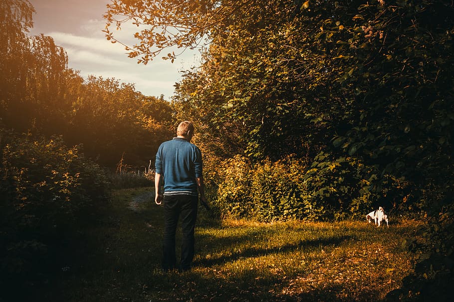Man Wearing Blue Jacket Looking Dog Peeing, canine, explore, landscape HD wallpaper