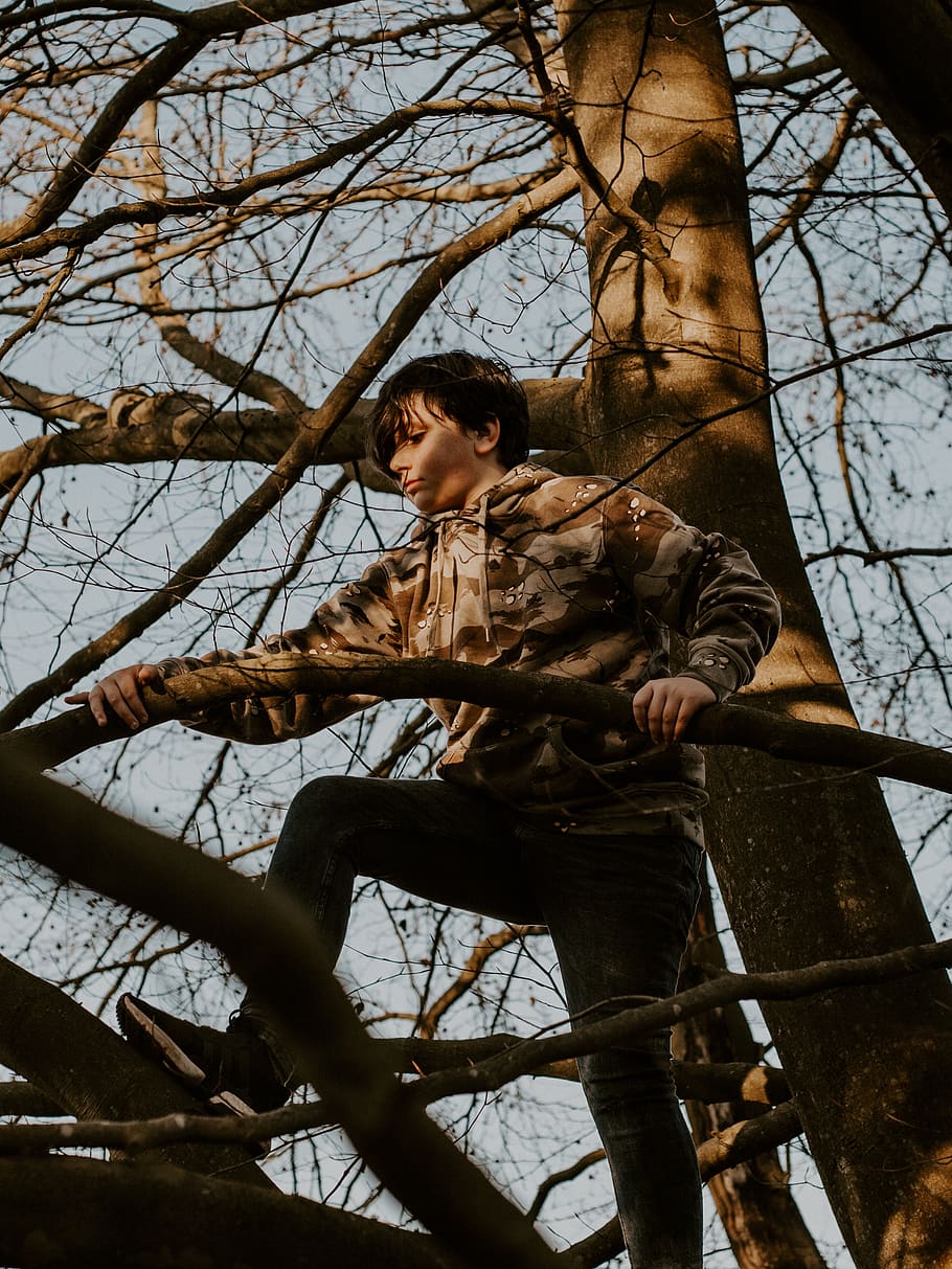Boy on Tree Holding Branch, child, childhood, climing, close-up HD wallpaper