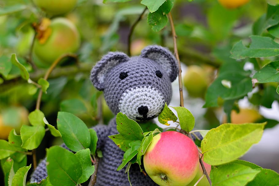 teddy bear, crochet, hand labor, stuffed animal, tree, apple tree, HD wallpaper