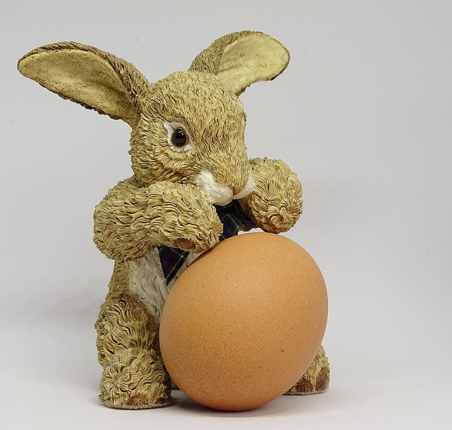 hare, egg, easter decoration, easter bunny, easter egg, rabbit HD wallpaper