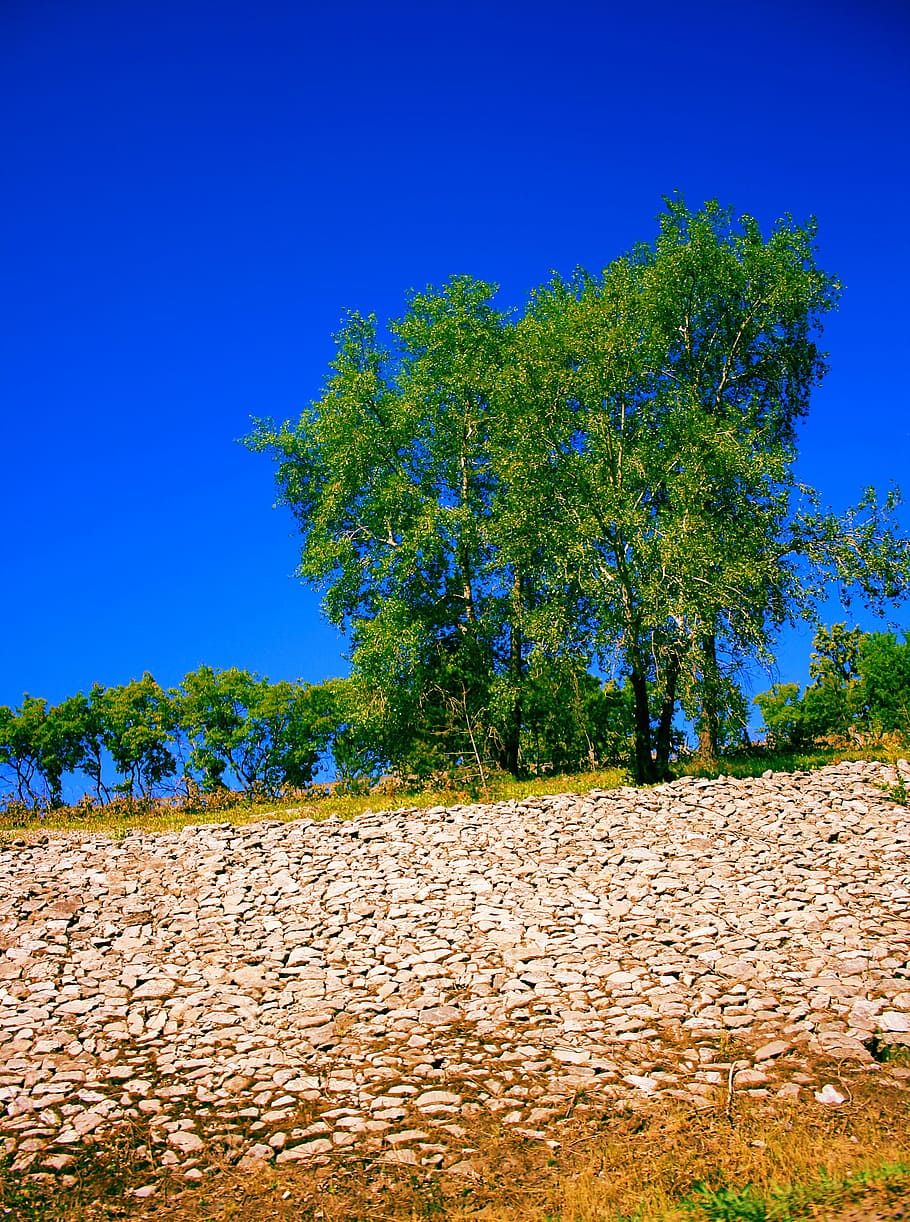 nature, outdoor, scene, scenery, scenic, sky, summer, tranquil HD wallpaper
