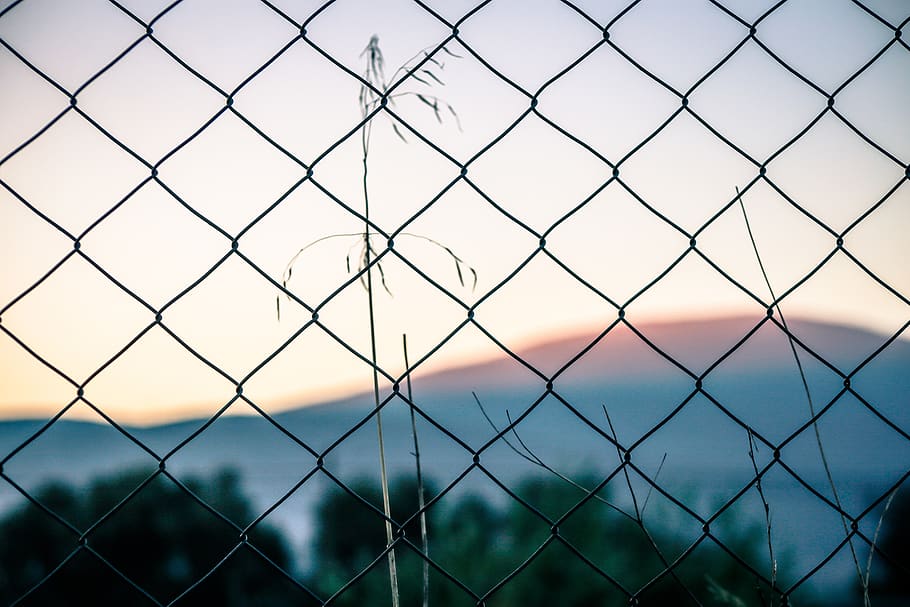 pattern, sky, obstacle, mountain, sunrise, plant, trees, focus HD wallpaper