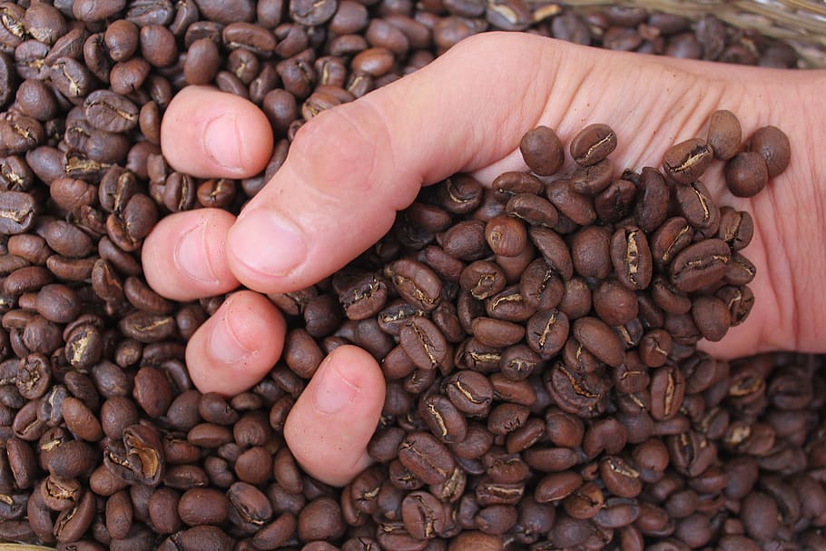 coffee, drink, caffeine, cafe, fresh, drinks, cappuccino, aroma HD wallpaper