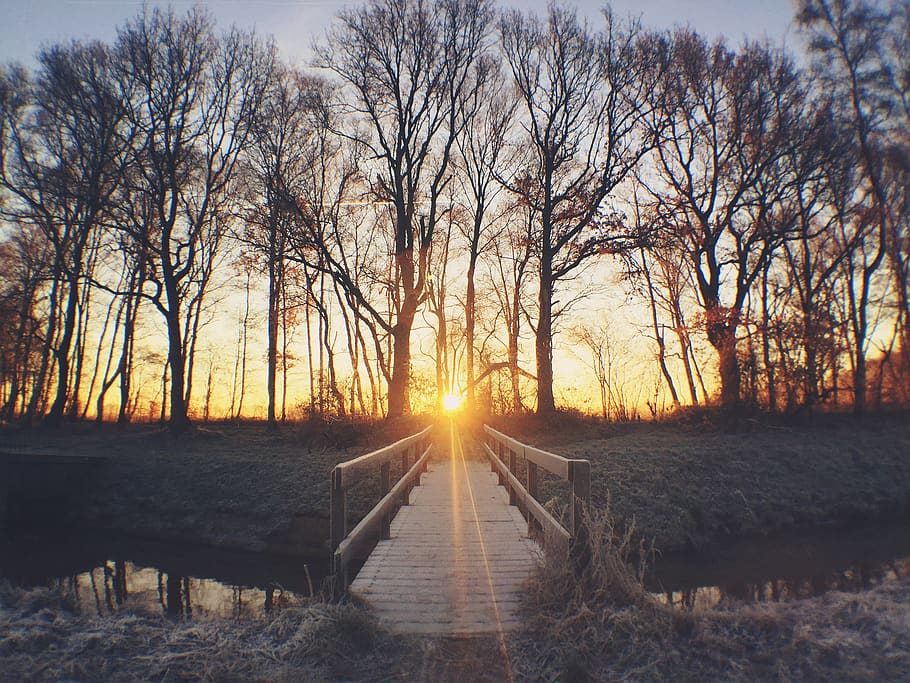 netherlands, westerbork, river, bridge, frozen, icy, ice, mist HD wallpaper