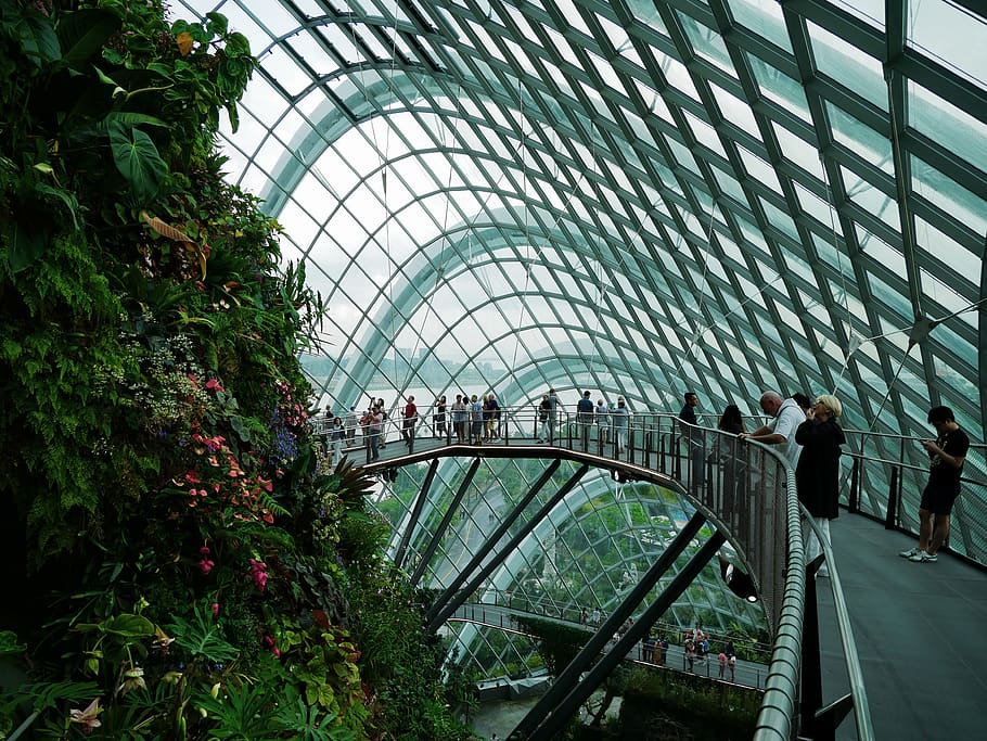 cloud forest, singapore, singapore architecture, southeast asian travel, HD wallpaper
