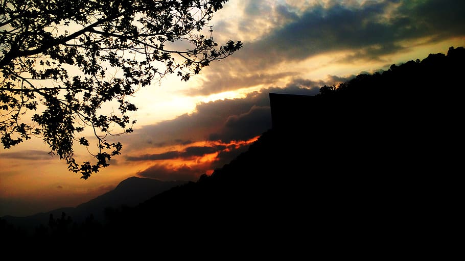 Silhouette View of Landscape Under Golden Hour, backlit, dawn HD wallpaper