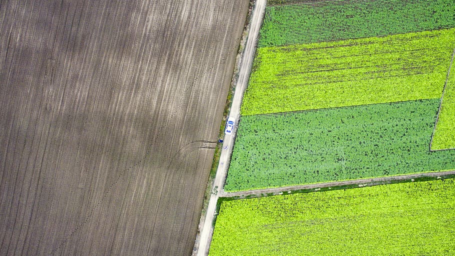 green color, plant, agriculture, high angle view, no people HD wallpaper