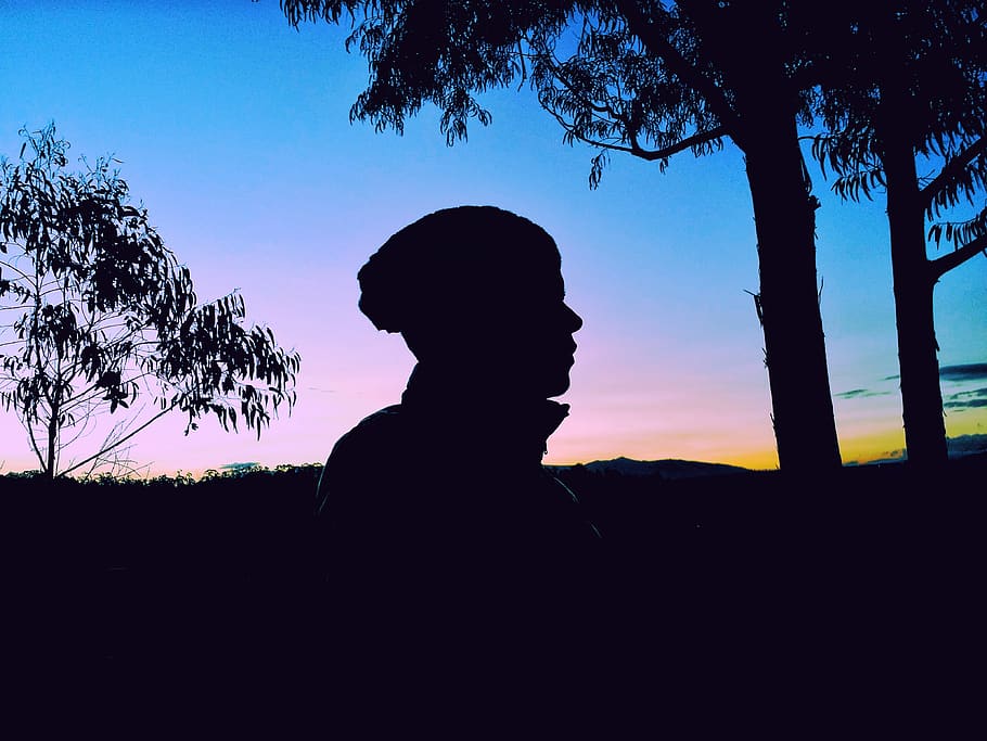 ecuador, quito, silhouette, sky, tree, real people, plant, one person HD wallpaper