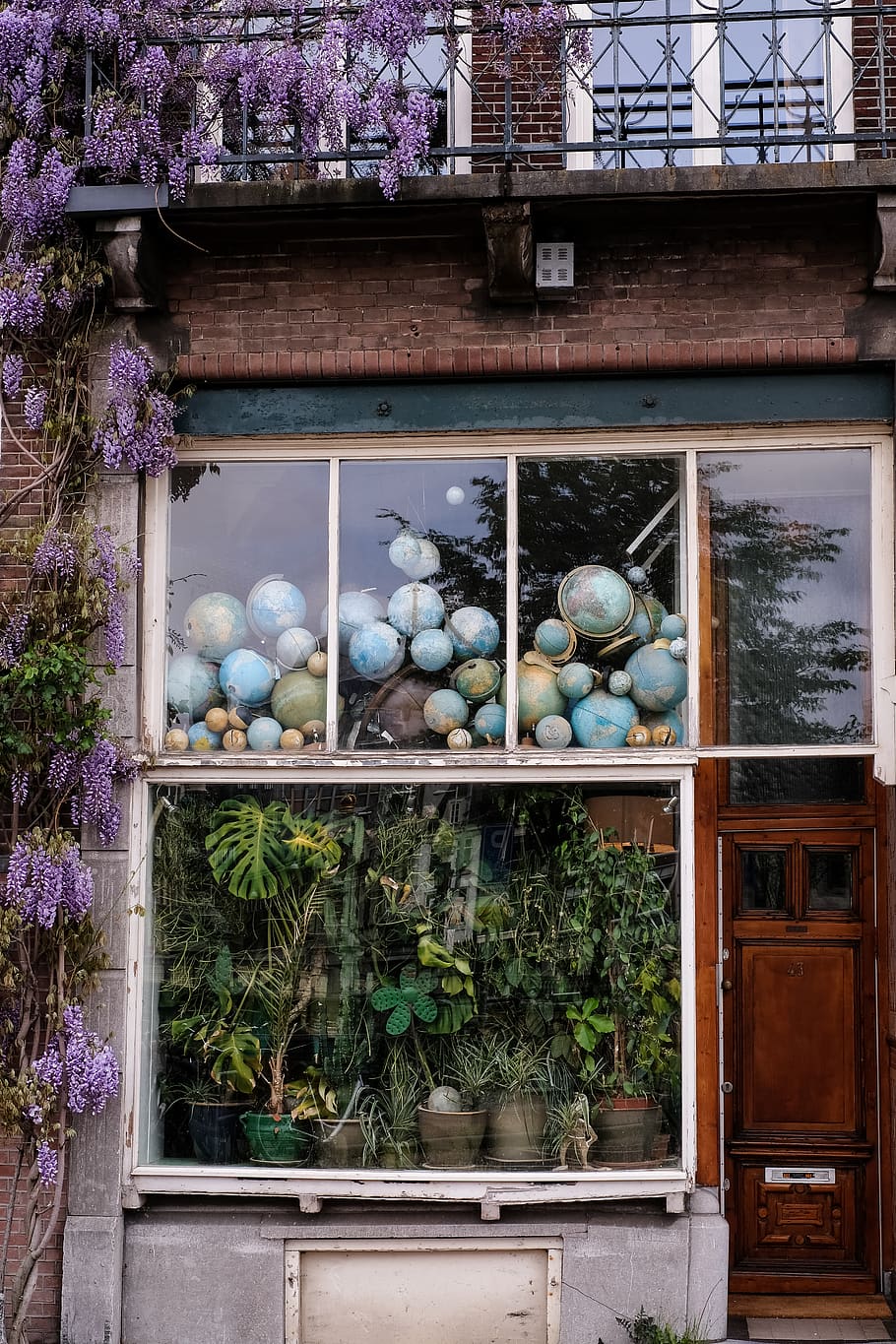 different green plants near window, sphere, architecture, globe, HD wallpaper