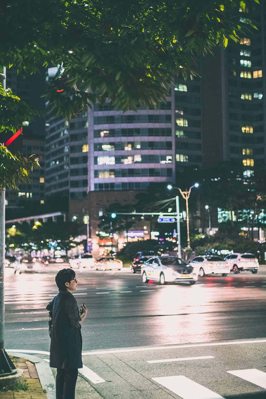 man standing under the tree, person, human, people, zebra crossing HD wallpaper
