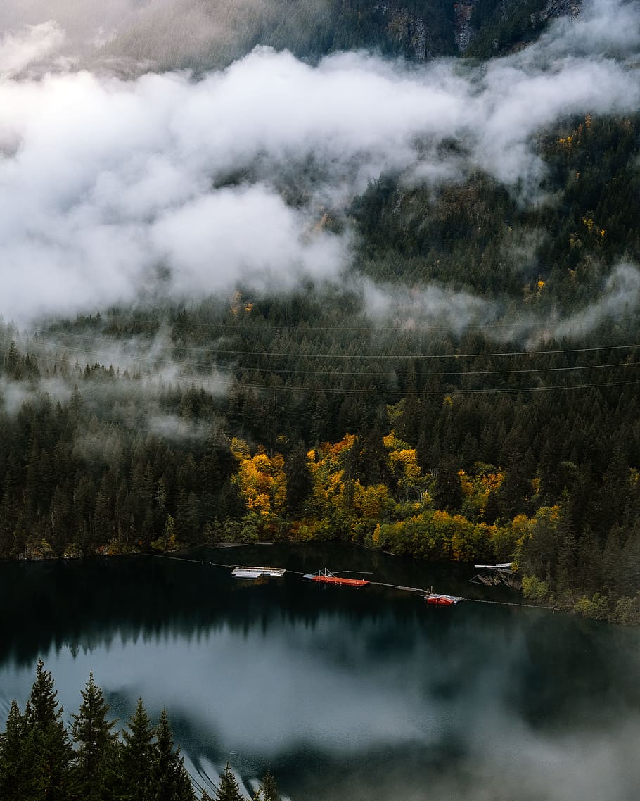 aerial photography of lake surrounded with trees during daytime HD wallpaper