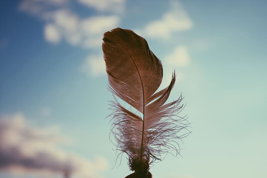 spain, sonseca, sky, nature, beauty in nature, plant, cloud - sky HD wallpaper