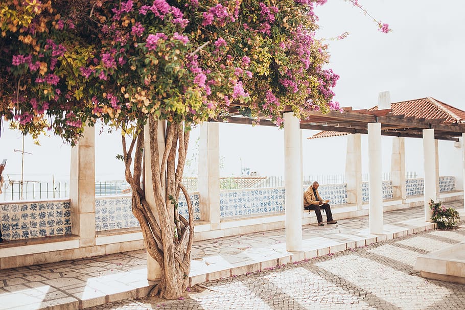 Man Sitting on Concrete Block Near Waiting Shed, architecture HD wallpaper