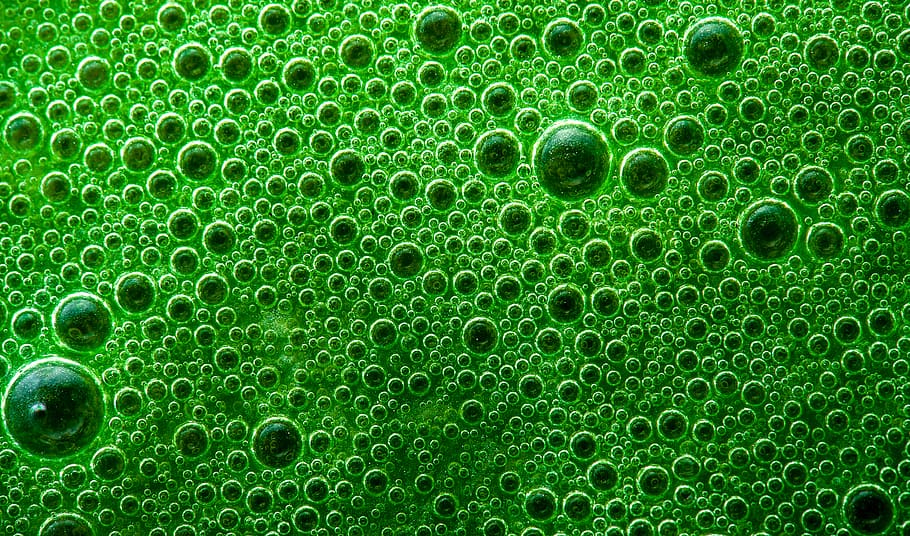 green water formations, green color, backgrounds, full frame HD wallpaper