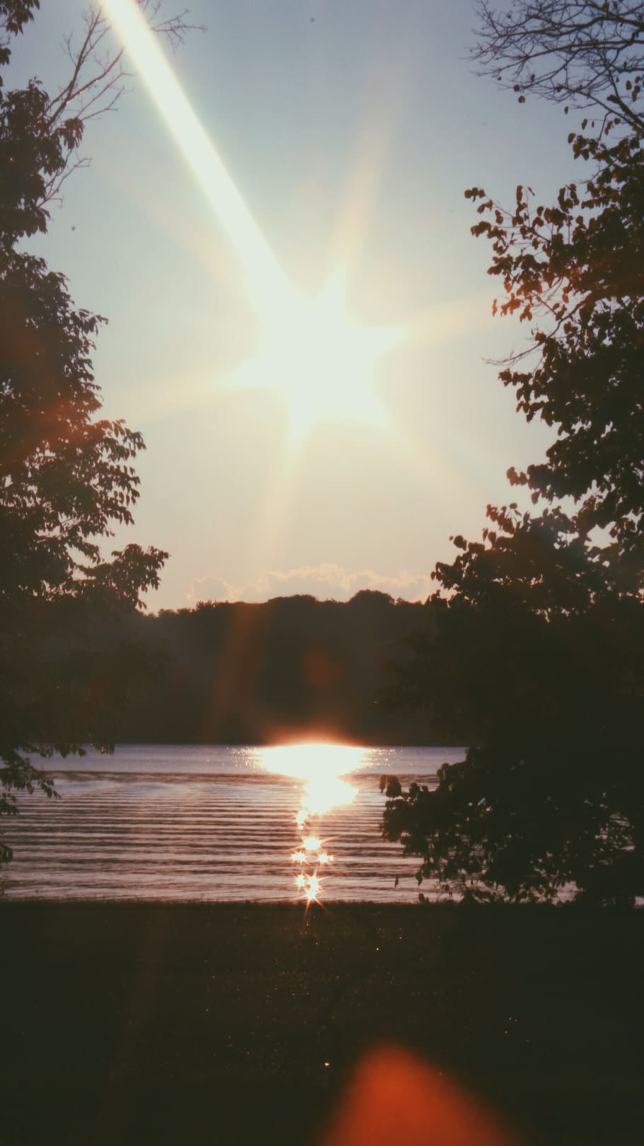 lake, water, trees, forest, nature, sun, sky, sunlight, tranquility HD wallpaper