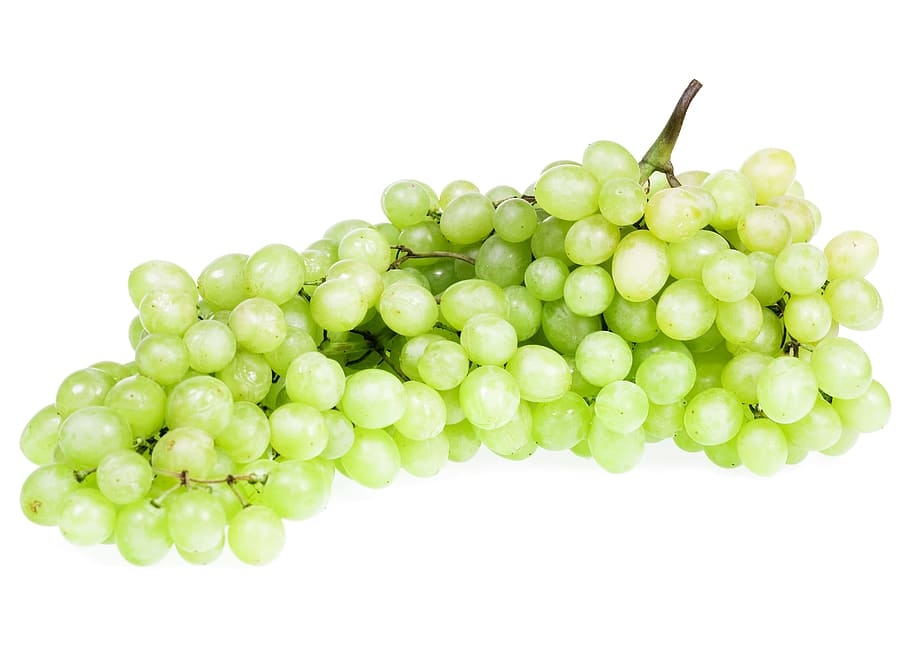 con2011, close-up, closeup, food, fresh, freshness, healthy HD wallpaper