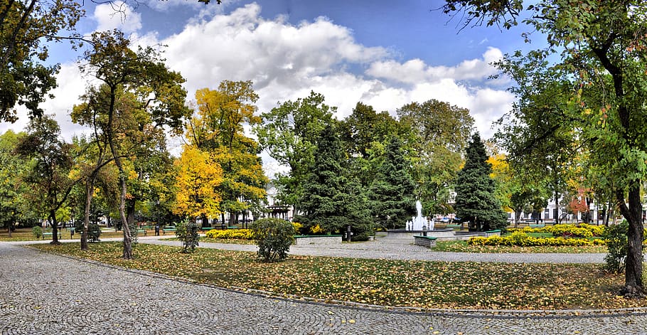 park, autumn, nature, collapse, landscape, tree, plant, sky HD wallpaper