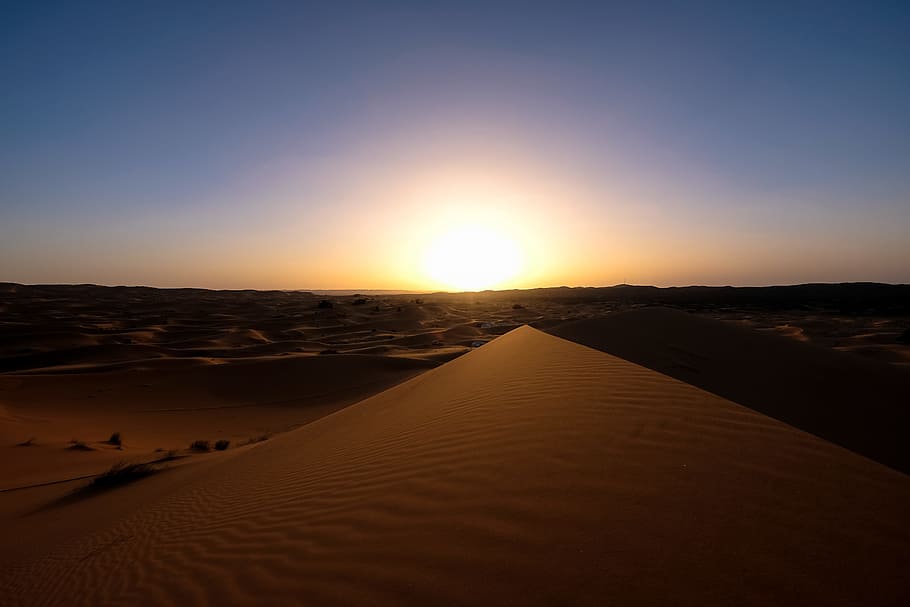 Silhouette Photography of Desert, backlit, dawn, dunes, dusk HD wallpaper
