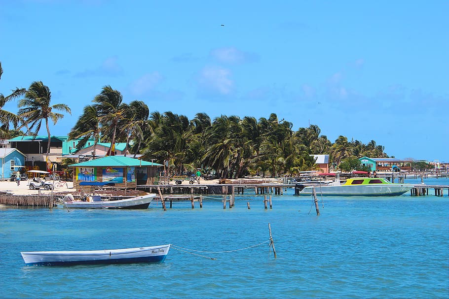belize, caye caulker, palm trees, ocean, vacation, island, beach HD wallpaper