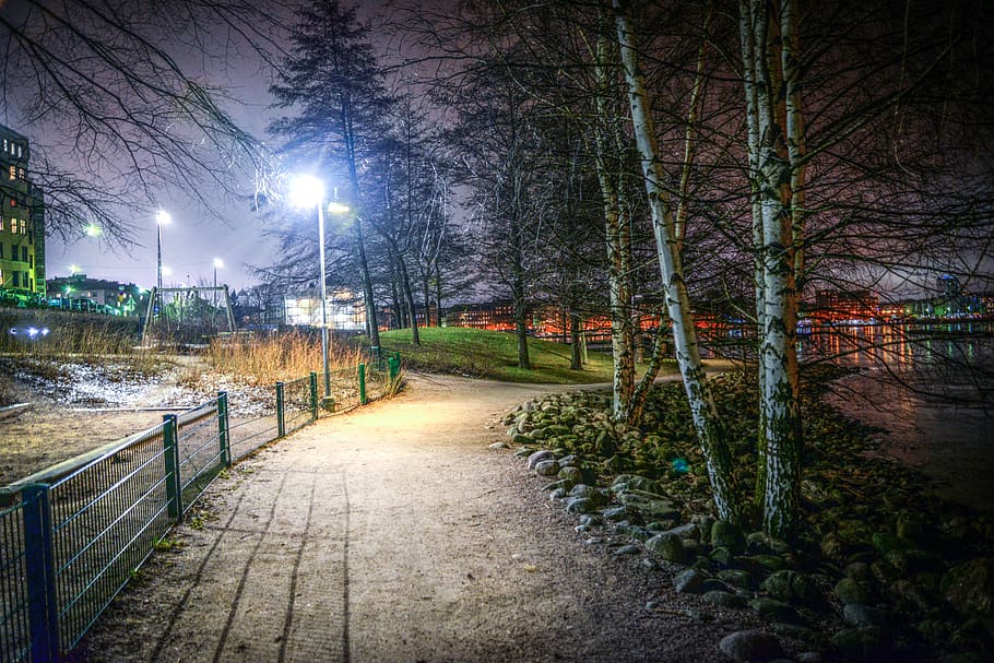 Trees At A Park, fence, light, path, plant, night, illuminated HD wallpaper