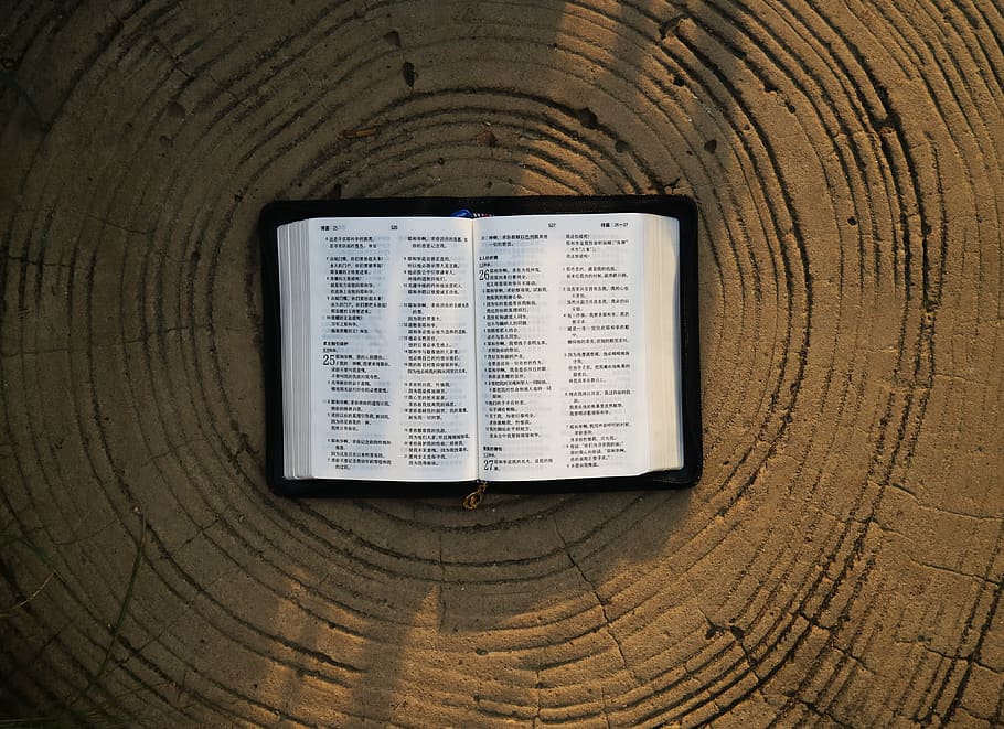 text, wood, outdoors, book, nature, rug, holy bible, hardwood HD wallpaper