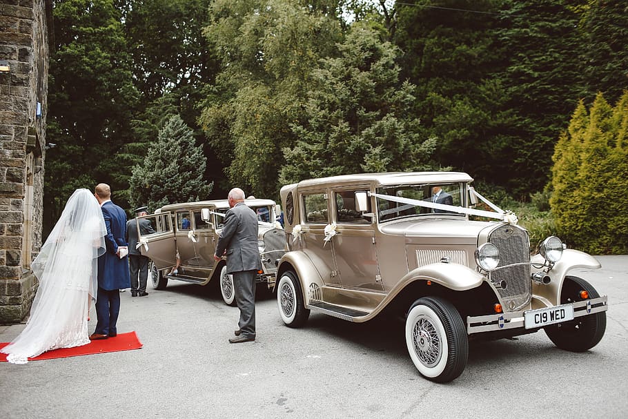 wedding, plant, tree, transportation, mode of transportation HD wallpaper