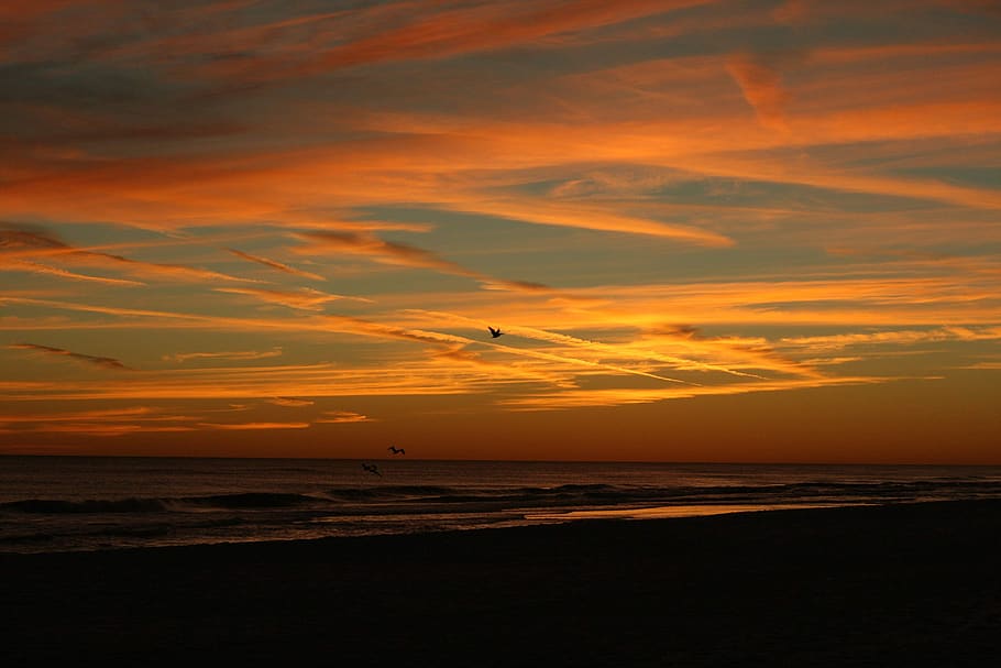 seashore during golden hour, nature, outdoors, dusk, red sky HD wallpaper
