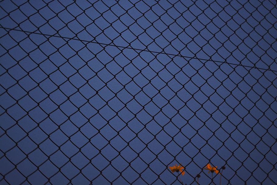 france, chamalières, chainlink fence, pattern, safety, security HD wallpaper