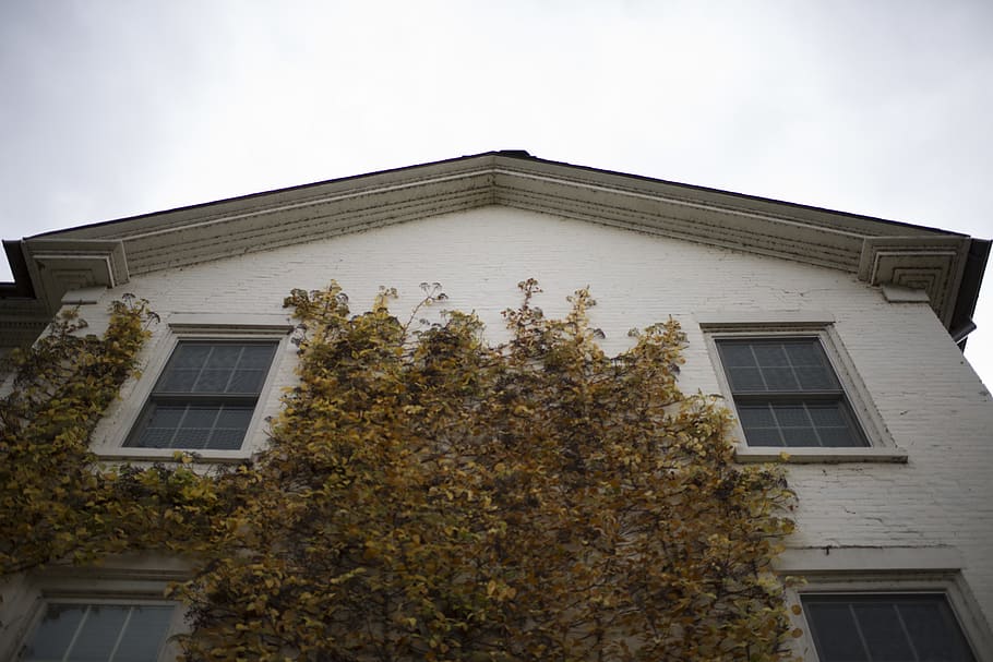 united states, ann arbor, building exterior, architecture, built structure HD wallpaper