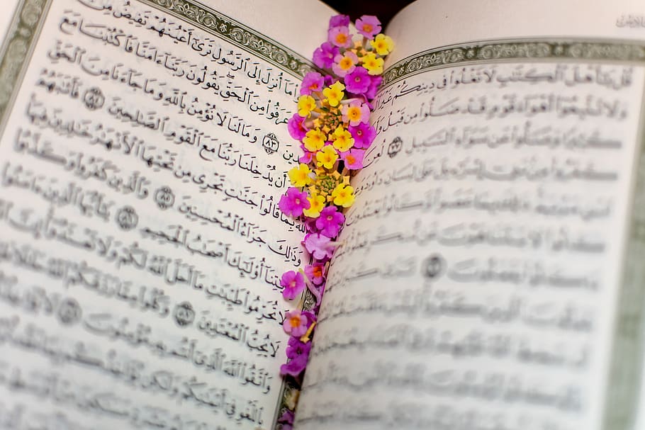 open book, selective focus, communication, no people, flower HD wallpaper