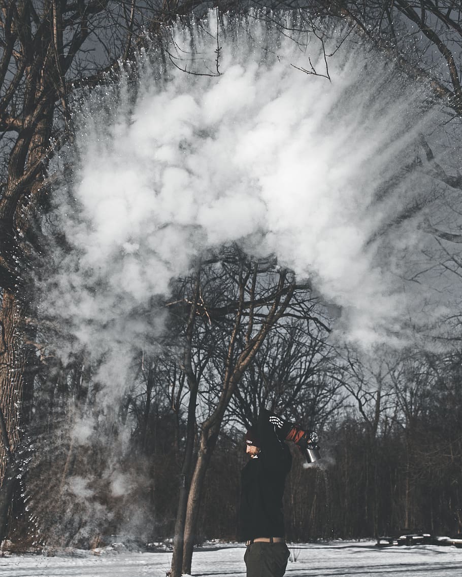 man throwing snow upward, human, person, nature, tree, plant HD wallpaper