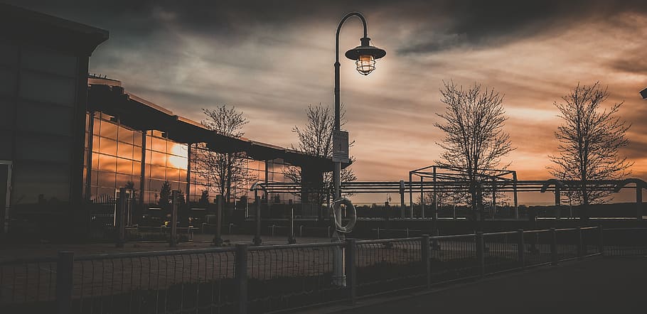 canada, hamilton, lamp, sunset, trees, golden hour, lake, sky HD wallpaper