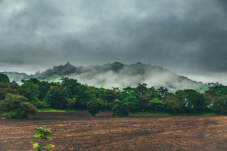 panama, cambutal, hill, jungle, dirt, clouds, sky, cloudy, storm, HD wallpaper