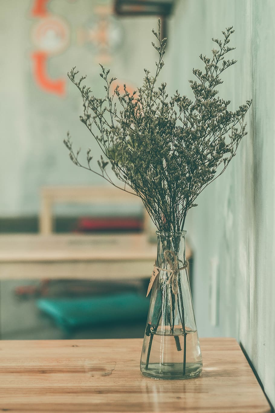 Green Plant in Clear Vase, art, blur, design, flora, flower, glass HD wallpaper