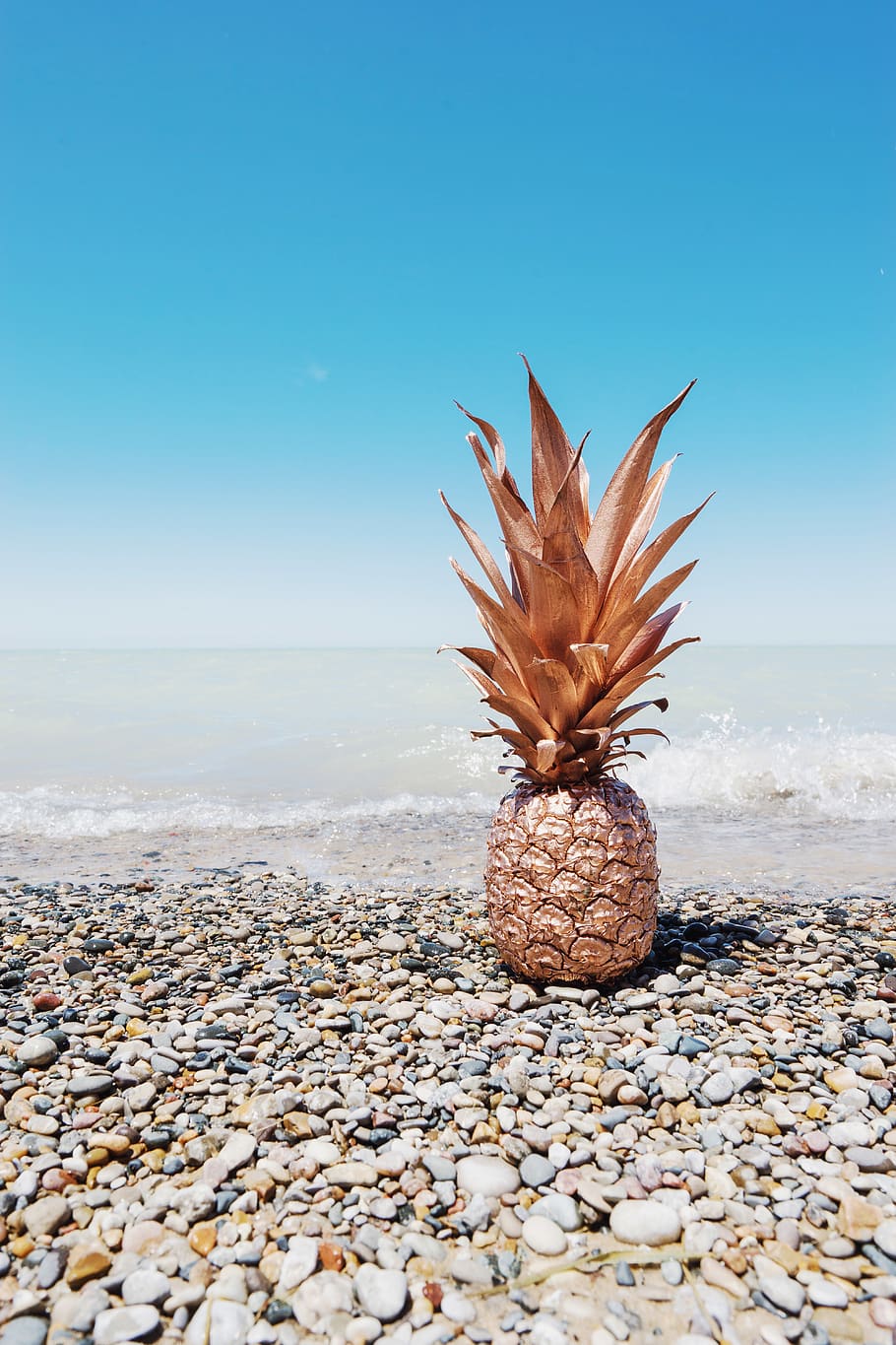 pineapple, fruit, plant, food, canada, lambton shores, pinery provincial park HD wallpaper