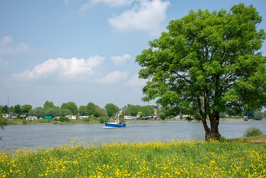 river, trees, boat, plant, water, nautical vessel, transportation HD wallpaper