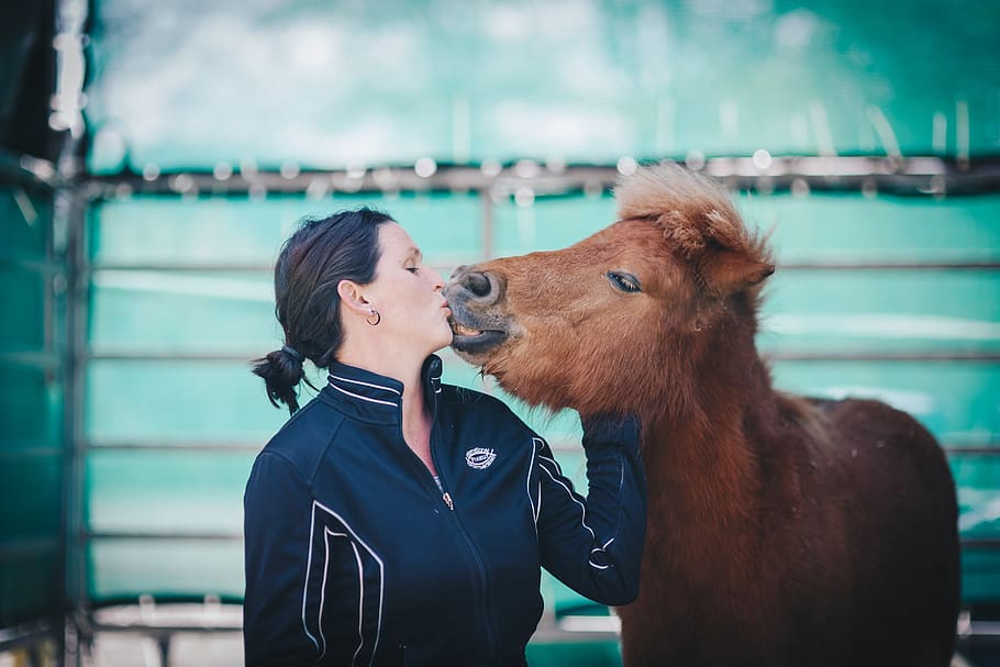 shetty, woman, kiss, pony, love for animals, female, horse, HD wallpaper
