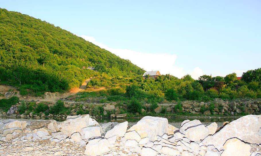 summer, scene, stones, trees, plant, water, sky, nature, solid HD wallpaper